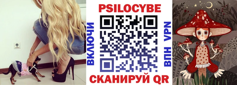 Купить  Торопец  Галлюциногенные грибы Cubensis 